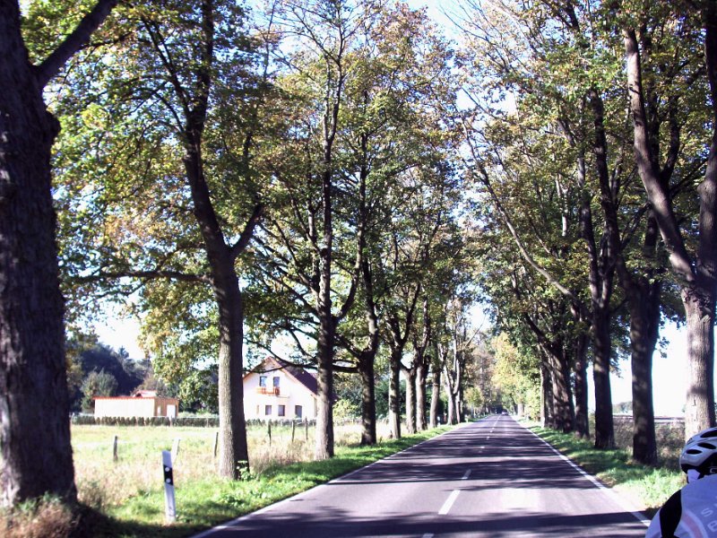 RTF Spandau Jens 31